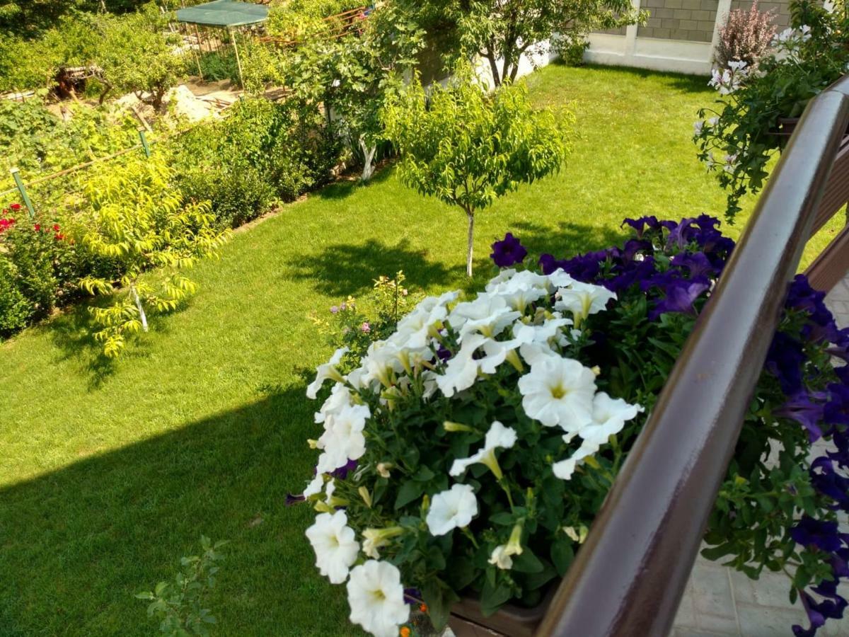 Apartments In Golden Sands Park Near The Sea Varna Luaran gambar